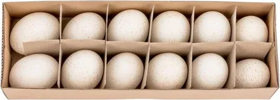 A dozen turkey eggs are neatly arranged in a cardboard divider box.