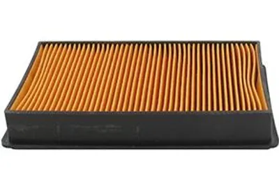 Produktbild von Anpassbarer Luftfilter Robin. Ersetzt Original 251-32831-12.