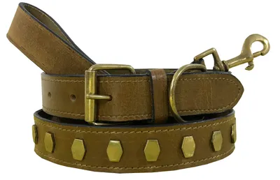Produktbild von Solidchoice – Echtes Lederhalsband für Hunde, geeignet für die Verwendung mit einer Leine