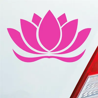 Produktbild von Auto Aufkleber Lotusblüte Lotus Blüte Blume Pflanze Seerose 16x10 cm Pink Sticker Heckscheibenaufkleber