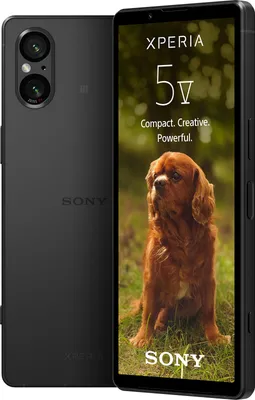 Produktbild von Sony XPERIA 5 V - Smartwatch - 5G Smartphone - Dual-SIM - RAM 8 GB / Interner Speicher 128 GB - microSD slot - OLED-Display