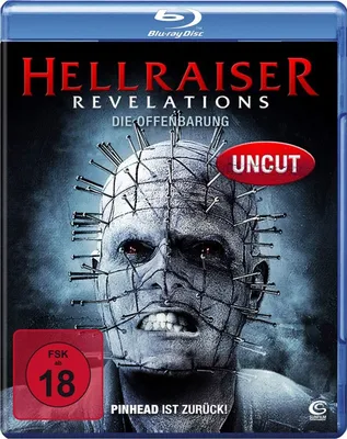 Produktbild von Der Adler des Königs