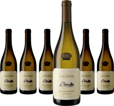 Produktbild von 6 x Collavini Sauvignon Blancfumat Collio DOC