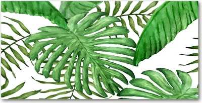 Produktbild von Tulup Glas-Bild -140x70- Wandkunst Dekorative Wand für Küche & Wohnzimmer - Blumen & Pflanzen - Tropische Blätter - Grün