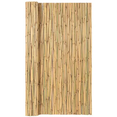 Image de Bambou fendu, 1 x 5 m