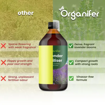 Produktbild von Lavendel Flüssigdünger 1L – 2-1-8 NPK – Flüssig-Pflanzendünger für Lavendel – Organifer