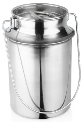 Produktbild von Vilde | Milchkanne Edelstahl 3,2L - Transportkanne mit Deckel und Griff