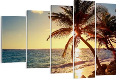 Produktbild von Bild auf Leinwand - Leinwandbild - Wolke exotischer Palm- Landschaft - 150x100cm - Wand Bild - Wanddeko - Leinwanddruck - Bilder - Kunstdruck - Leinwand bilder - Wandkunst - EG150x100-3180