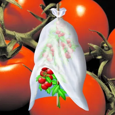 Produktbild von Noor Tomatenvlies Tomatenhaube 07x10m 17 g/m² Schlauch; 011TOMTUNNEL