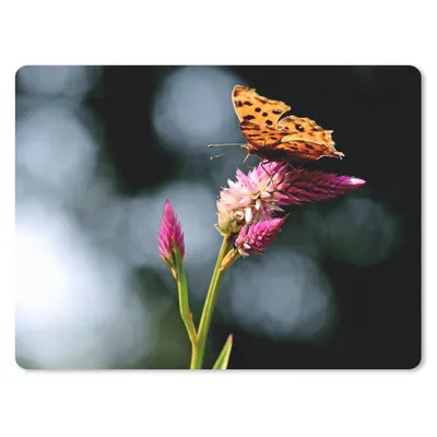 Produktbild von MuchoWow® Mauspad Mousepad Schmetterling - Blumen - Insekten 40x30 cm - Mousepads - Maus Mat - Pad - Mausunterlage - Anti Rutsch