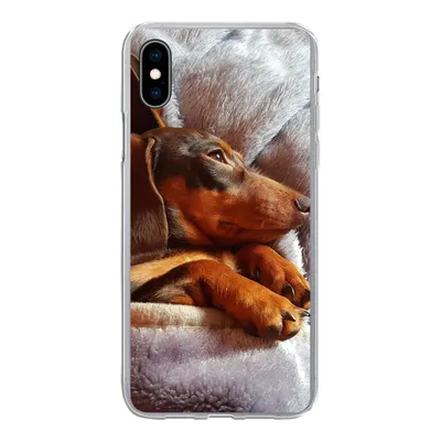 Produktbild von MuchoWow® Handyhülle Schutzhülle Hülle für iPhone Xs Niedlicher Dackel liegt unter der Bettdecke Silikon Softcase Handy Hülle - Handytasche