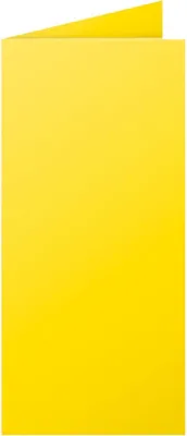Image de Pollen by Clairefontaine Carte double DL, soleil
