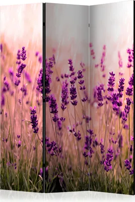 Produktbild von 3-teiliger Einseitiger Vlies Paravent - Lavender in the Rain 135x172 cm Blumen b-B-0111-z-b