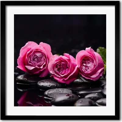 Produktbild von Bild - 50 cm x 50 cm - MDF - Rahmen, Wandkunst - Rosa Rosen