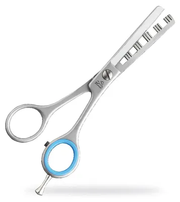 Produktbild von PREMAX Effilierschere - Expert Linie 15905 Edelstahl 5 1/2