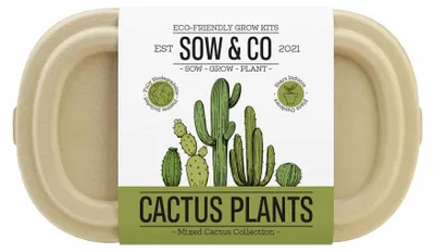 Productafbeelding van Gift Republic Cactus Planten
