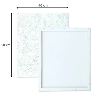 A paint-by-numbers canvas with dimensions indicated.
