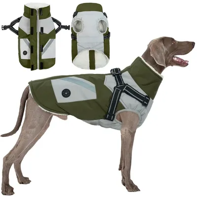 Image de Manteau pour chien, taille XXL, couleur vert armée, avec harnais, imperméable, chaud, idéal pour l'hiver