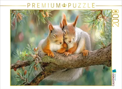 Produktbild von CALVENDO Puzzle Eichhörnchenliebe | 2000 Teile Lege-Größe 90x67cm Foto-Puzzle für glückliche Stunden