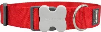 Produktbild von Hundehalsband Red Dingo Breite Rot (4 x 37-55 cm)