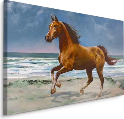 Produktbild von Fabelhafte Canvas LEINWAND BILDER 70x50 cm XXL Kunstdruck Meer Strand Pferd Himmel