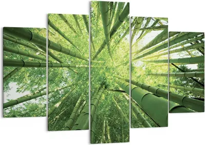 Produktbild von Bild auf Leinwand - Leinwandbild - 5 Teile - Bambus Dschungel Grün - 150x100cm - Wand Bild - Wanddeko - Wandbilder - Leinwanddruck - Bilder - Wanddekoration - Leinwand bilder - EA150x100-4235