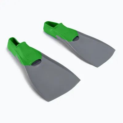 Image de Palmes en caoutchouc Speedo Long Blade
