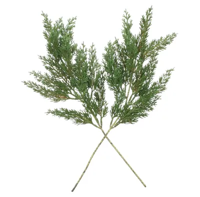 Produktbild von Kunstzweig Zeder, 2er Set, Länge 49 cm