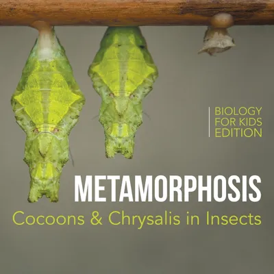 Produktbild von Metamorphosis