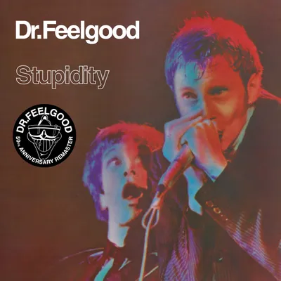 Image de Stupidity (Live 2025 Remaster)