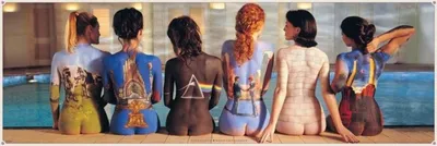 Obrázek produktu pro Pink Floyd Plakát 6 dívek Bodypainting 158 x 53 cm