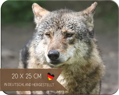 Produktbild von Kinder Frühstücksbrettchen Wolf , Brettchen Kunststoff, 20x25 cm