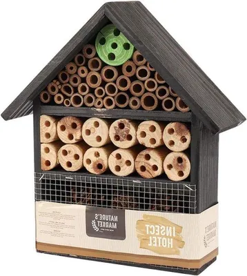 Image de Abri pour insectes avec toit transparent pour le jardin