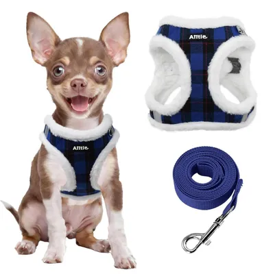 Image de Harnais et laisse pour chien, motif à carreaux, couleur bleue, réfléchissant, taille XS