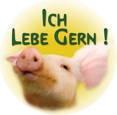 Produktbild von Ansteckbutton 25 mm mit süßem Schweinchen und Aufschrift 'ich lebe gern'