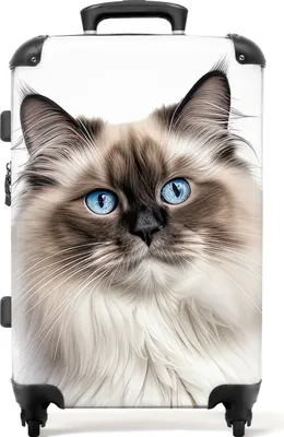 Produktbild von NoBoringSuitcases.com® Großer Koffer - Katze - Haustier - Ragdoll - Kombinationsschloss TSA - Hartschalen Trolley 4 Rollen - 72 liter - Reisekoffer - 66 cmKoffer Mittelgroß 67x43x25 cm, 72L,