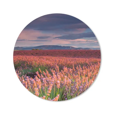 Produktbild von MuchoWow® Mauspad Mousepad Lavendelfeld bei einem ruhigen Sonnenuntergang 40x40 cm - Mousepads - Maus Mat - Pad - Mausunterlage - Schreibtisch Accessoires