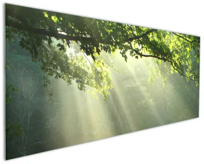 Produktbild von Wallario Küchenrückwand aus Glas, Größe: 125 x 50 cm, Motiv: Sonnenstrahlen im Wald | Spritzschutz | abwischbar | pflegeleicht | in