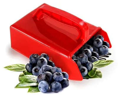 Produktbild von Beerenpflücker aus Metall mit Kamm und ergonomischem Griff für die Ernte von Preiselbeeren, Heidelbeeren und Himbeeren