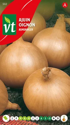 Obrázek produktu pro Zwiebel Rijnsburger Samen - ca. 4 gr | VT_502