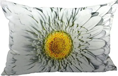 Produktbild von Kissen - Dekokissen Blüte - Blume Gerbera Weiss ca 50 x 35 cm