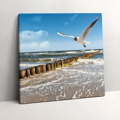 Produktbild von Bird by the sea – Leinwandbild Wandbild – 60x60 cm – Leinwandbilder – Wandbilder – Schlafzimmer – Flur