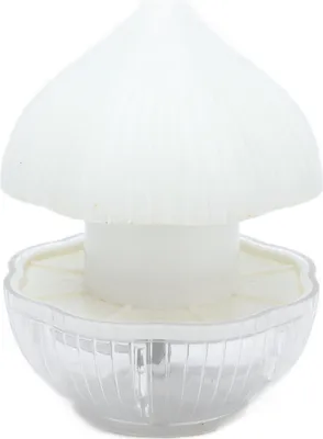 Image de Manuel de l'ail Masher Pressyp Mashing Chopper Kitchen -Accessoires Crushing