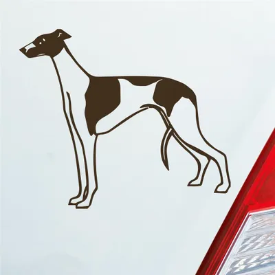 Produktbild von Auto Aufkleber Windhund Hund Dog Animal Tier 12x10 cm Braun Sticker Heckscheibenaufkleber