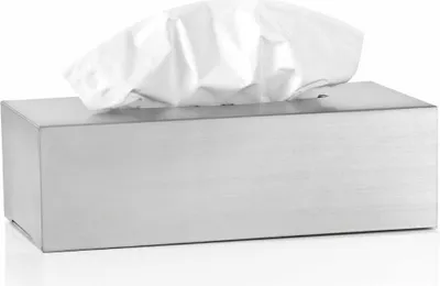 Obrázek produktu pro Blomus 66653, Nerezová ocel, Nerezová ocel, Tabulka, 1 kusů, 120 mm, 240 mm