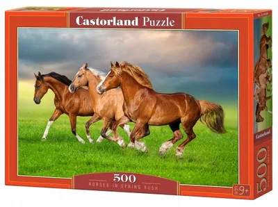 Produktbild von Castorland Puzzle 500 Teile Pferde Motiv für Mädchen