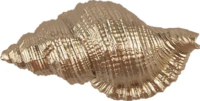 Produktbild von Clayre & Eef Türknauf Muschel 8x4x5 cm Goldfarbig Polyresin