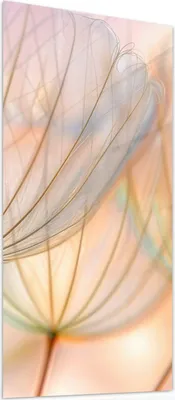 Produktbild von Glasbild 55x110cm in XXL für Wohnzimmer, Schlafzimmer Motiv Pusteblumen Kunst