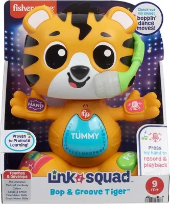 Immagine prodotto di Mattel giocattolo Fisher-Price apprendimento interattivo tigre educativa