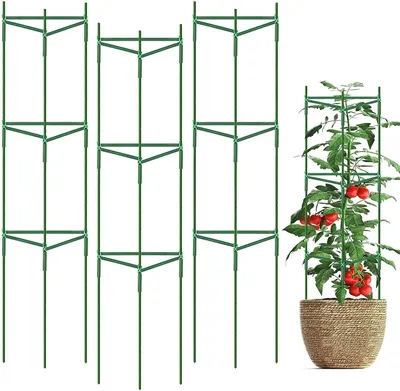 Produktbild von Set von 4 Tomatenstützen mit Verstellbarer Höhe für Optimales Wachstum